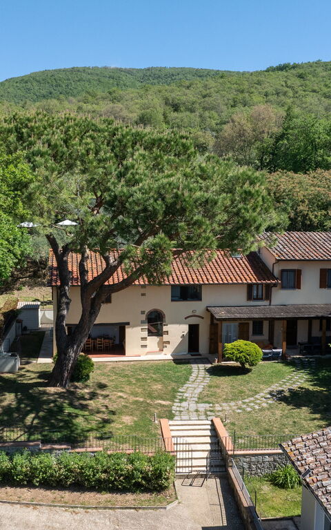 Villa Morandi: Utendørs, Visningar