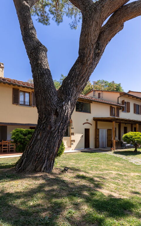 Villa Morandi: Eksteriør, Hage, Utendørs