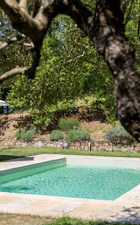 Villa Morandi: basseng, Hage, Utendørs, Visningar