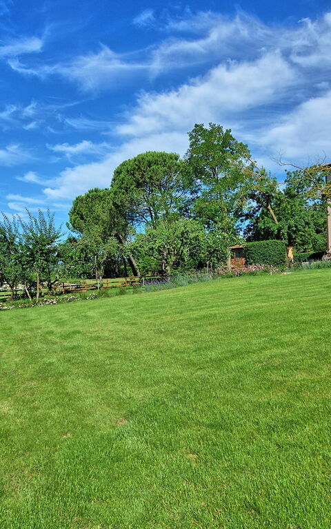 Villa Marietta: Hage