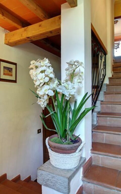 Villa Acacia: Annet rom