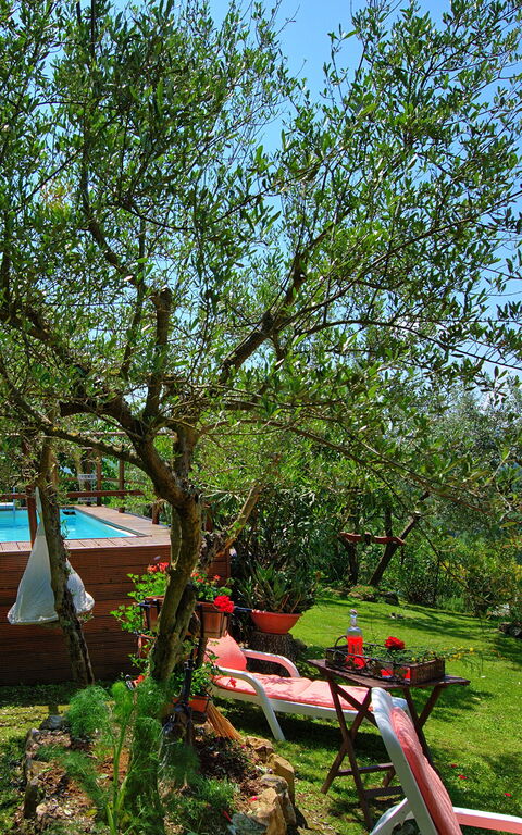 La Ruota: Hage, Sommer