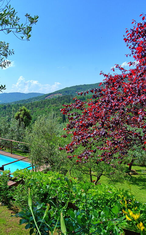 La Ruota: basseng, Utendørs, Visningar