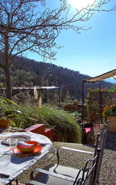 Villa Tenuta Lonciano: Hage, Utendørs