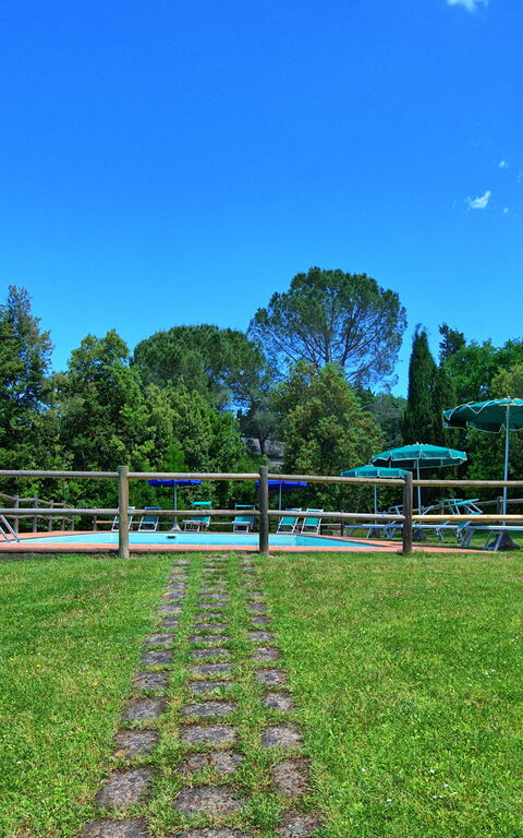 Villa Picchio: Hage, Utendørs