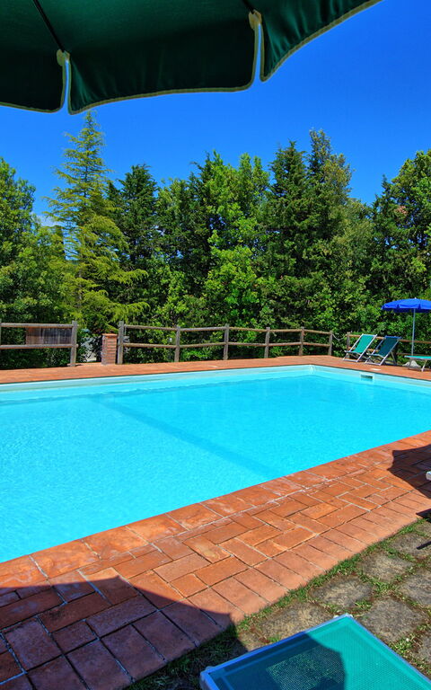 Villa Picchio: basseng, Utendørs