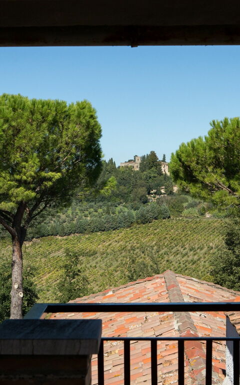 Villa Treppiè: Hage