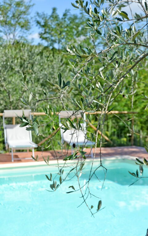 Il Fienile Di Giovanna: basseng