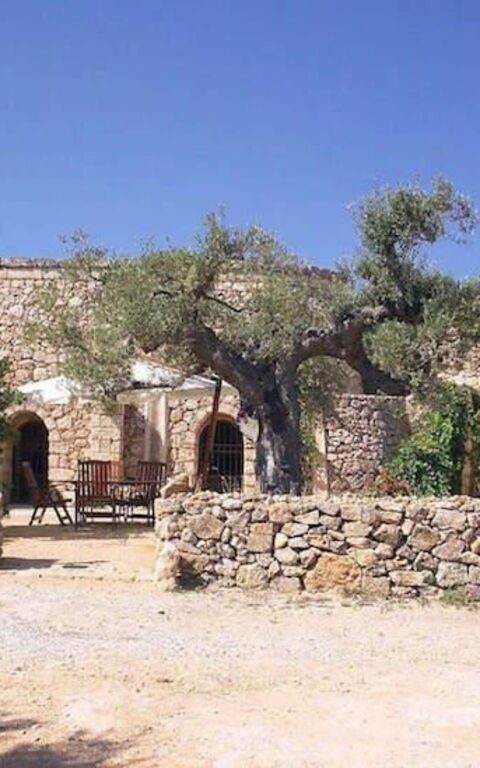 Tia Trullo: Hage, Utendørs