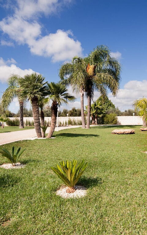 Meadow Luxury Villa: Hage, Utendørs