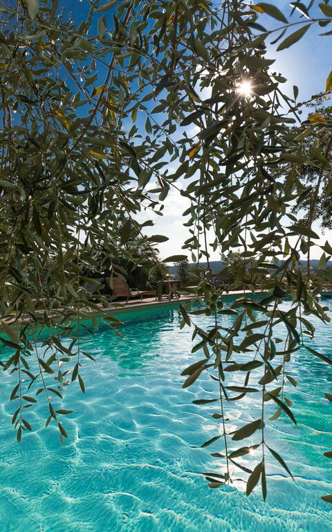 Villa Poggiospinoso: basseng, Utendørs