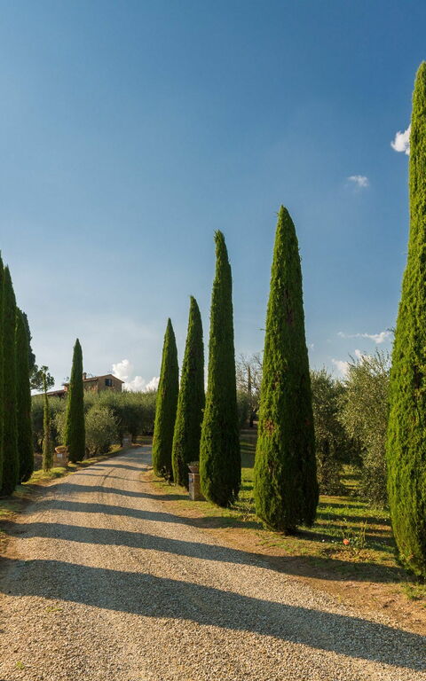 Villa Poggiospinoso: Visningar