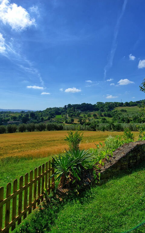 Villa Sarteano: Hage