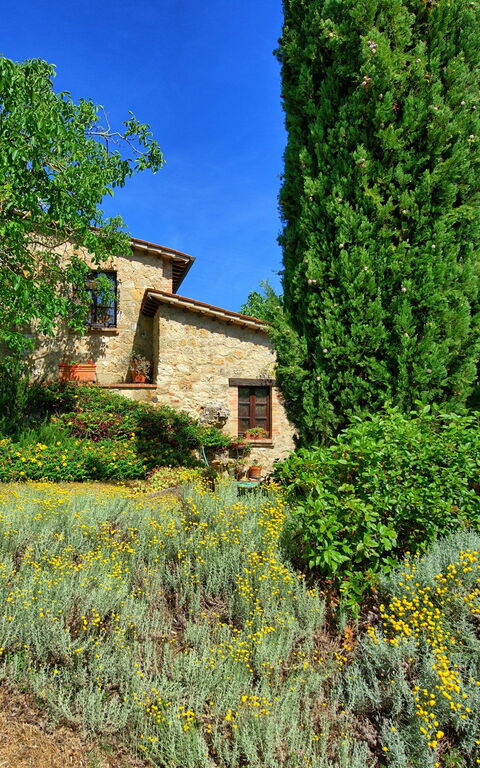 Villa Sarteano: Eksteriør, Hage