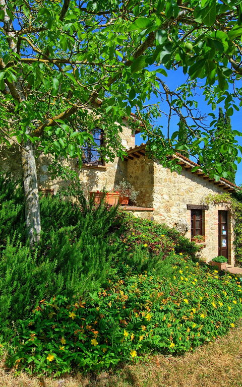 Villa Sarteano: Hage