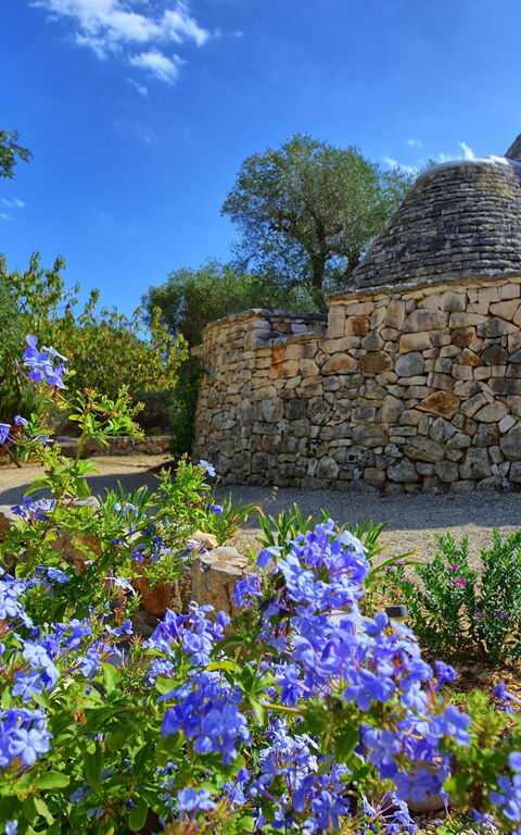 Trullo Pascarosa: Utendørs