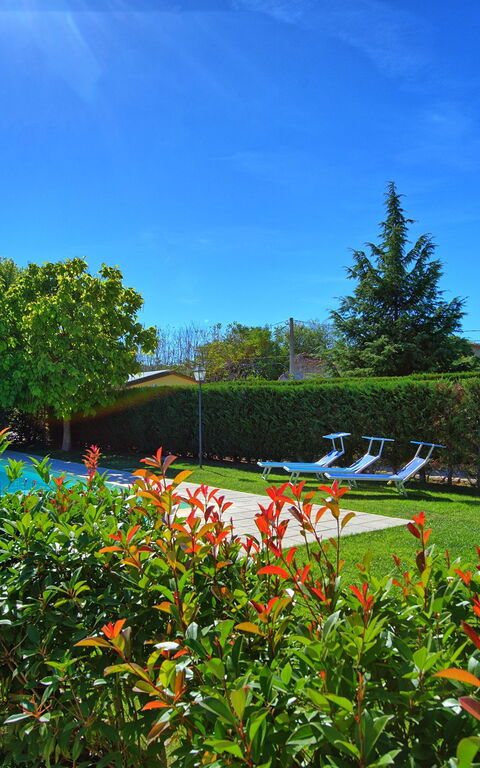 Casale Tiziano: basseng, Hage