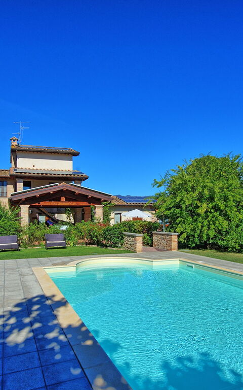 Casale Tiziano: basseng, Hage