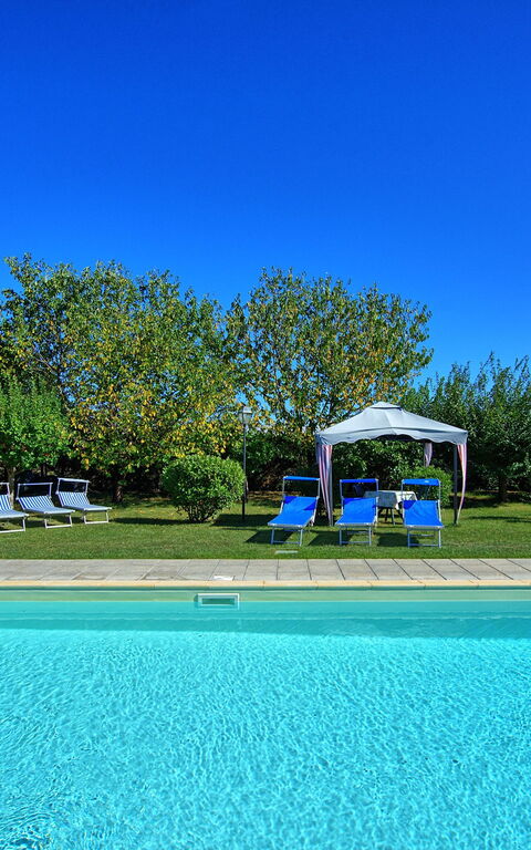 Casale Tiziano: basseng, Hage