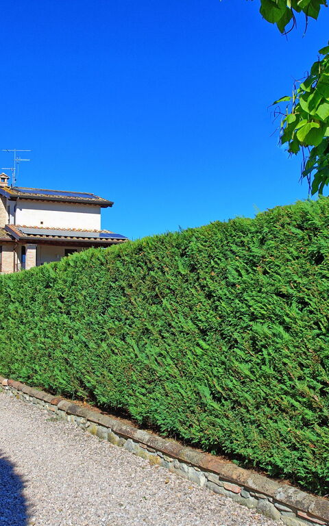 Casale Tiziano: Utendørs