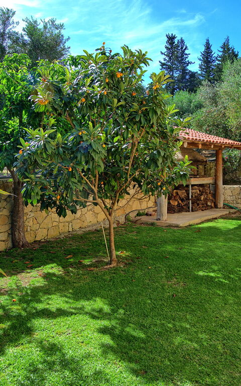 Villa Vrisses: Hage, Utendørs