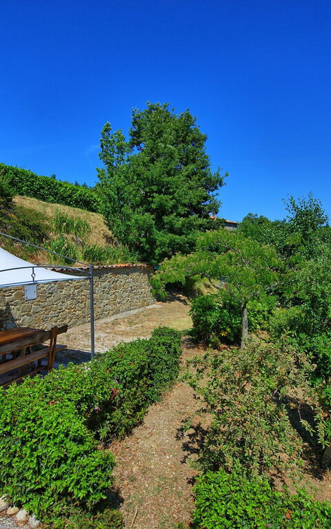 Borgo Veronica: Hage