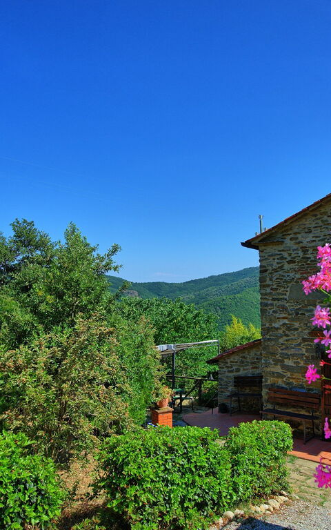 Borgo Veronica: Eksteriør, Hage