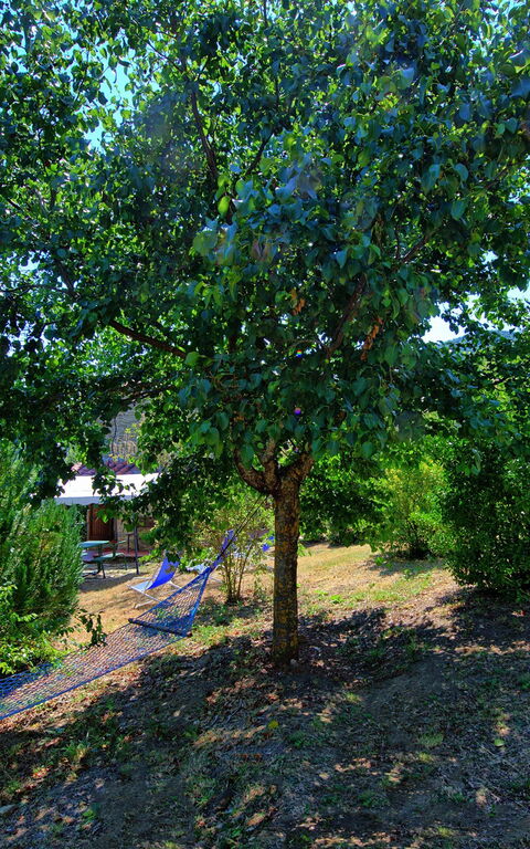 Borgo Veronica: Hage