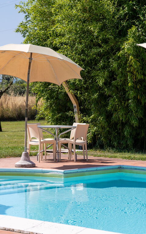 Villa Assisi: basseng, Eksteriør, Hage, Utendørs