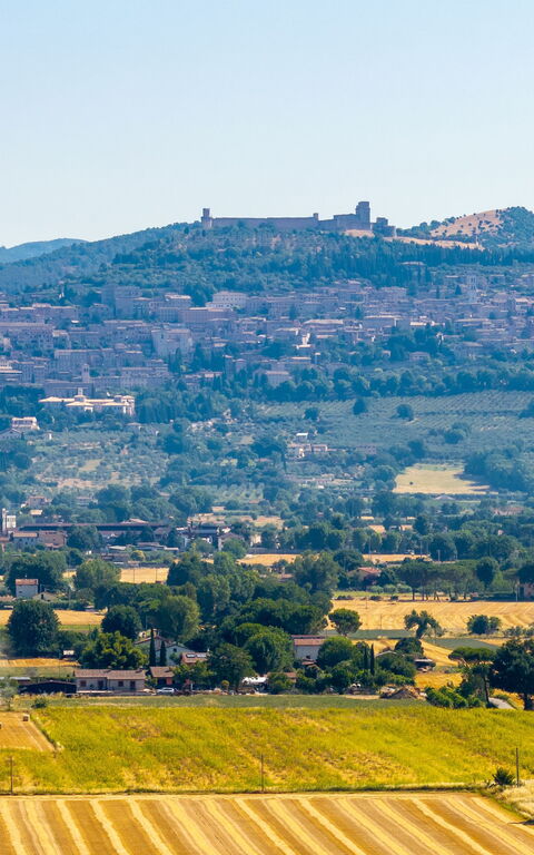 Villa Assisi: Visningar