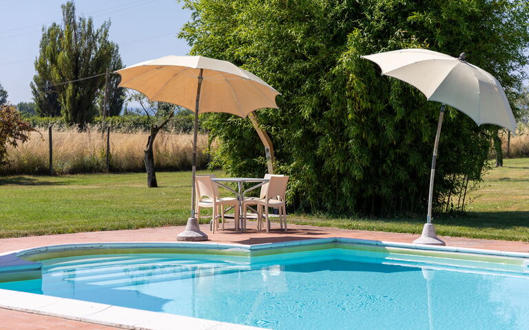 Villa Assisi: basseng, Eksteriør, Hage, Utendørs