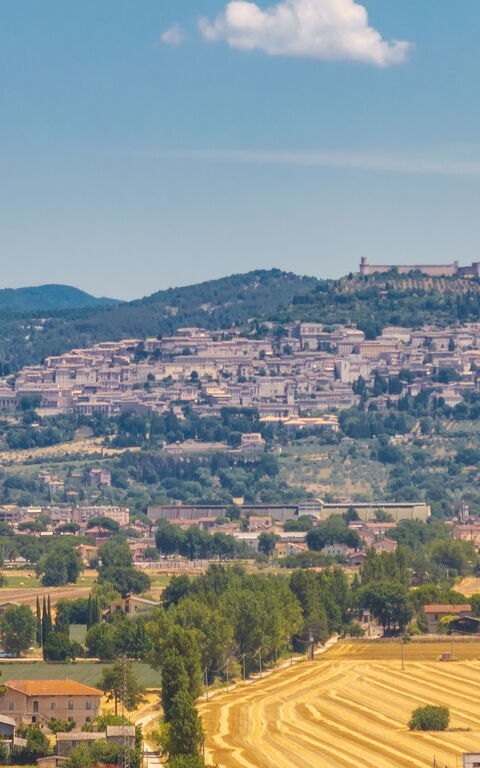 Villa Reale: Visningar