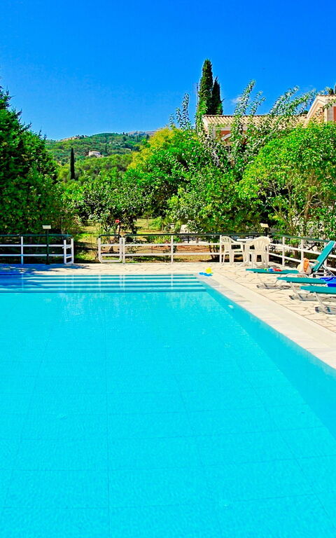 Beach Villa Nancy: basseng, Hage