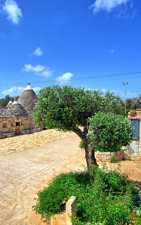 Trullo Santo Stefano: Hage, Utendørs