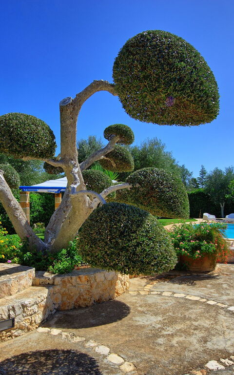 Lamia Santo Arcangelo: Hage