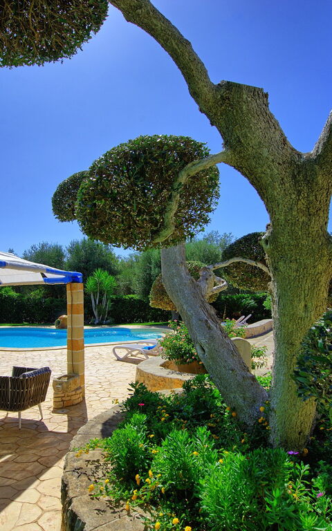 Lamia Santo Arcangelo: basseng, Eksteriør, Hage