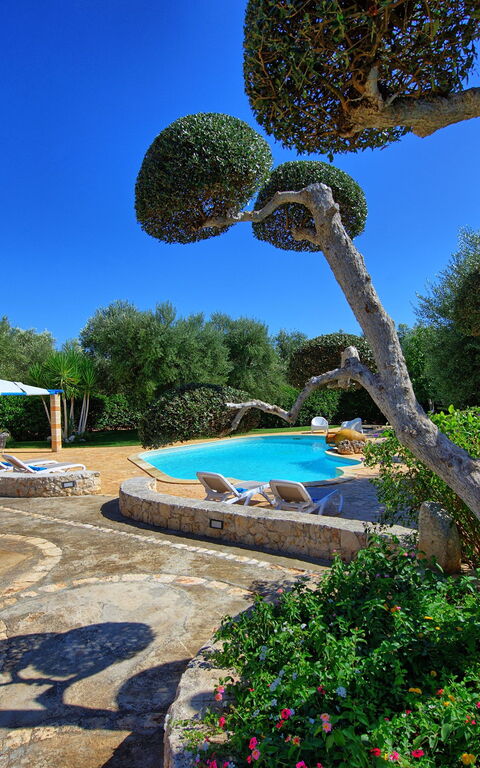 Lamia Santo Arcangelo: basseng, Hage