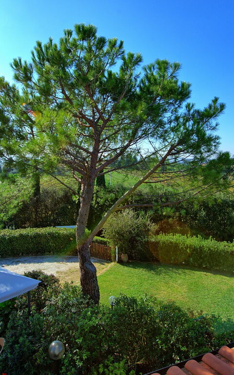 Casa Vasco: Visningar