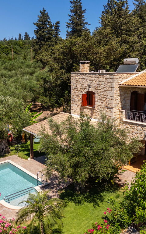 Villa Nipos: basseng, Hage, Utendørs