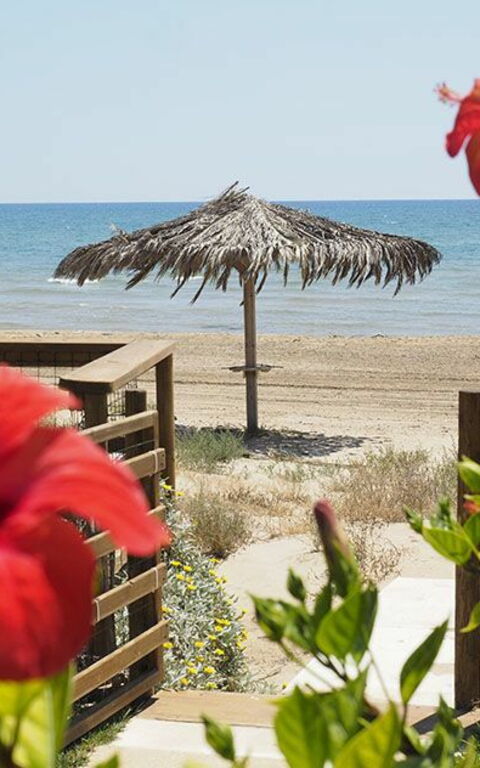 Villa Ariel: Utendørs