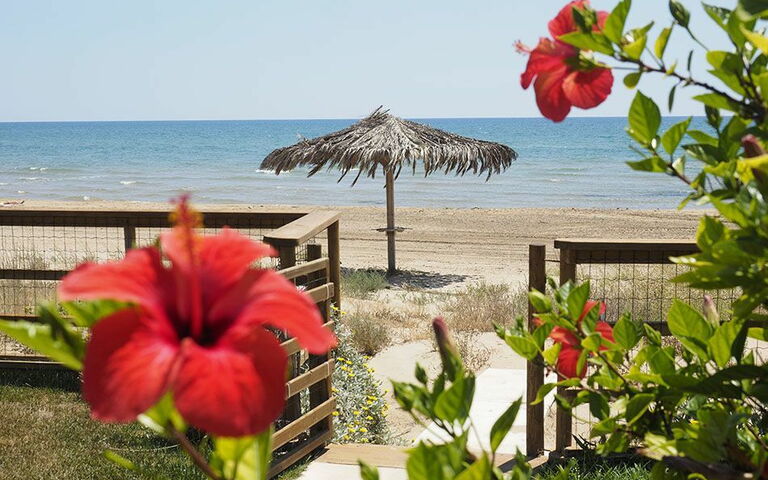 Villa Ariel: Utendørs