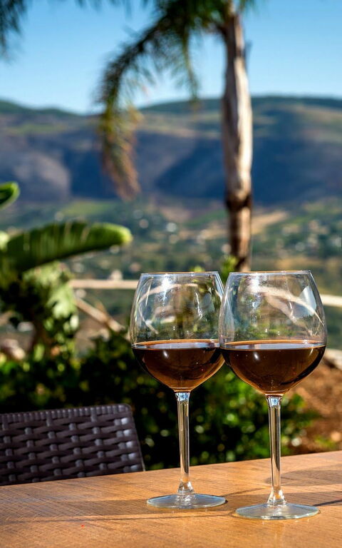 Villa Le Muse: Utendørs