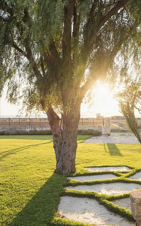 Villa Salinella: Hage