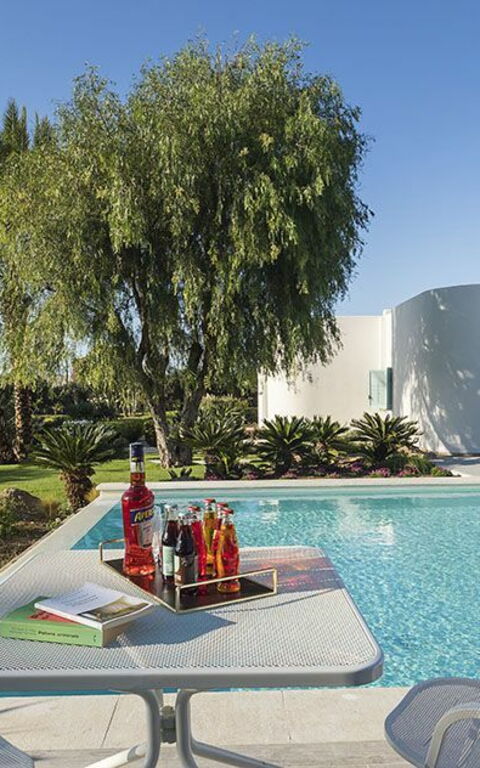 Villa Salinella: basseng, Hage