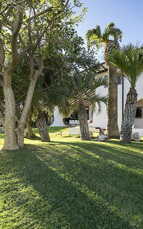 Blu Moon: Eksteriør, Hage, Utendørs