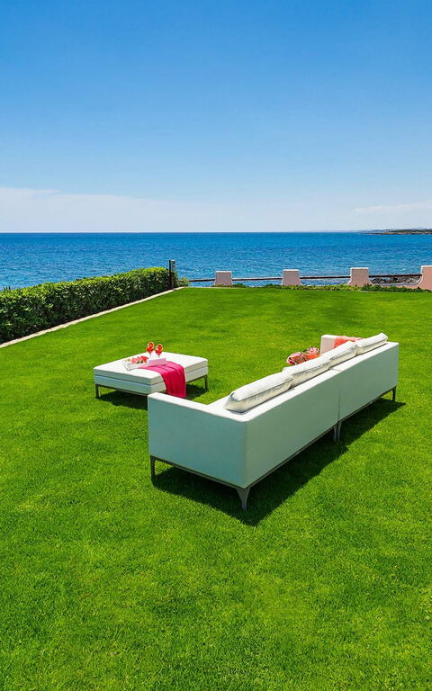 Blu Moon: Hage, Utendørs, Visningar