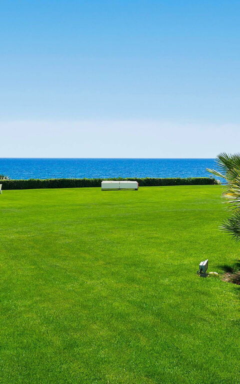 Blu Moon: Hage, Visningar