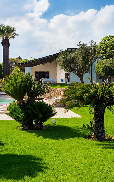 Blu Moon: basseng, Eksteriør, Hage, Utendørs