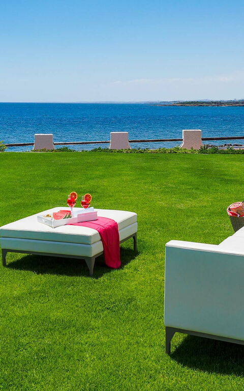 Blu Moon: Hage, Utendørs, Visningar