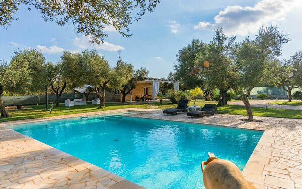 Villa Safiria: basseng